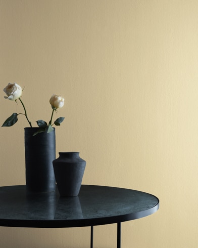 Painted walls with Light Khaki 2148-40