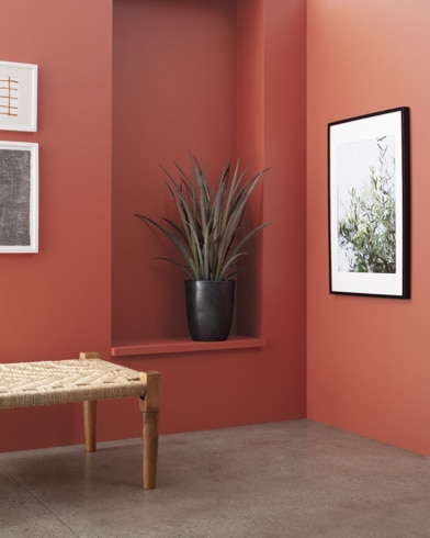 Mur peint en Brun Canyon 2089-30