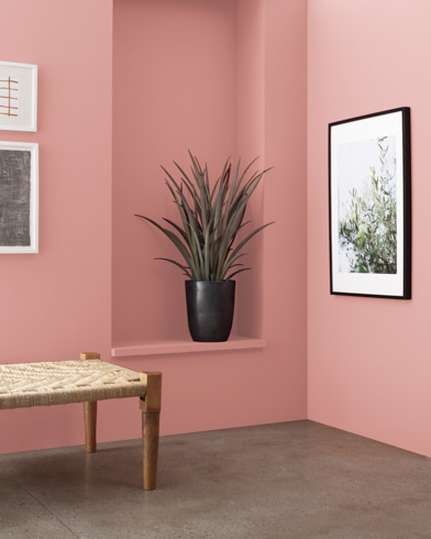 A wooden bench in front of a Venetian Rose-painted wall with art and an inset shelf featuring a houseplant.