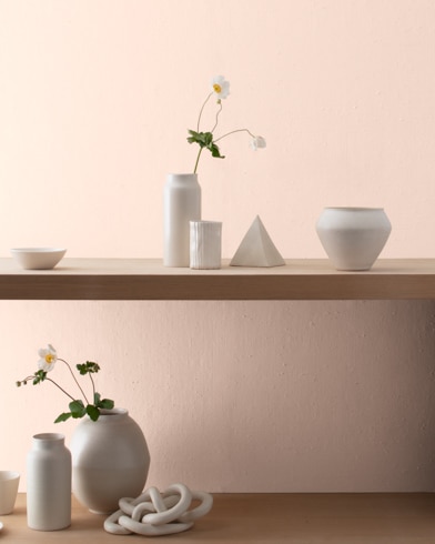 Painted wall with Sheer Pink 894