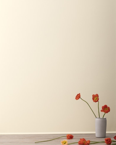 Mur peint en Cendre de Bois 1065
