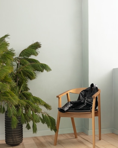Mur peint en Eau Bleue 1478